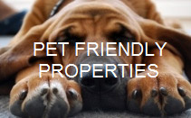 pet friendly vacation rentals