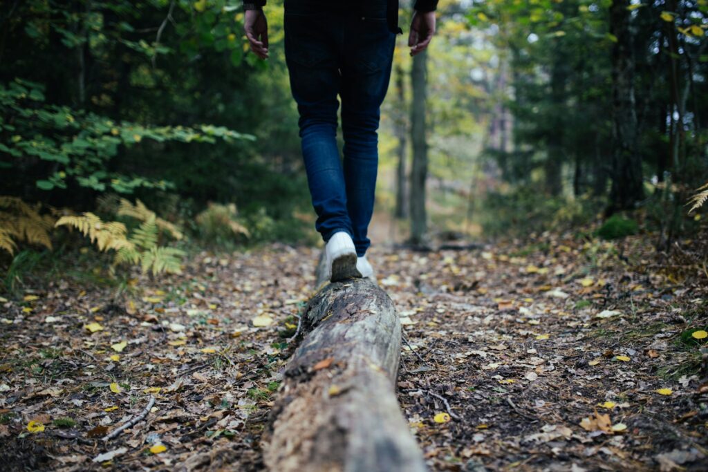 A person on a hiking trail