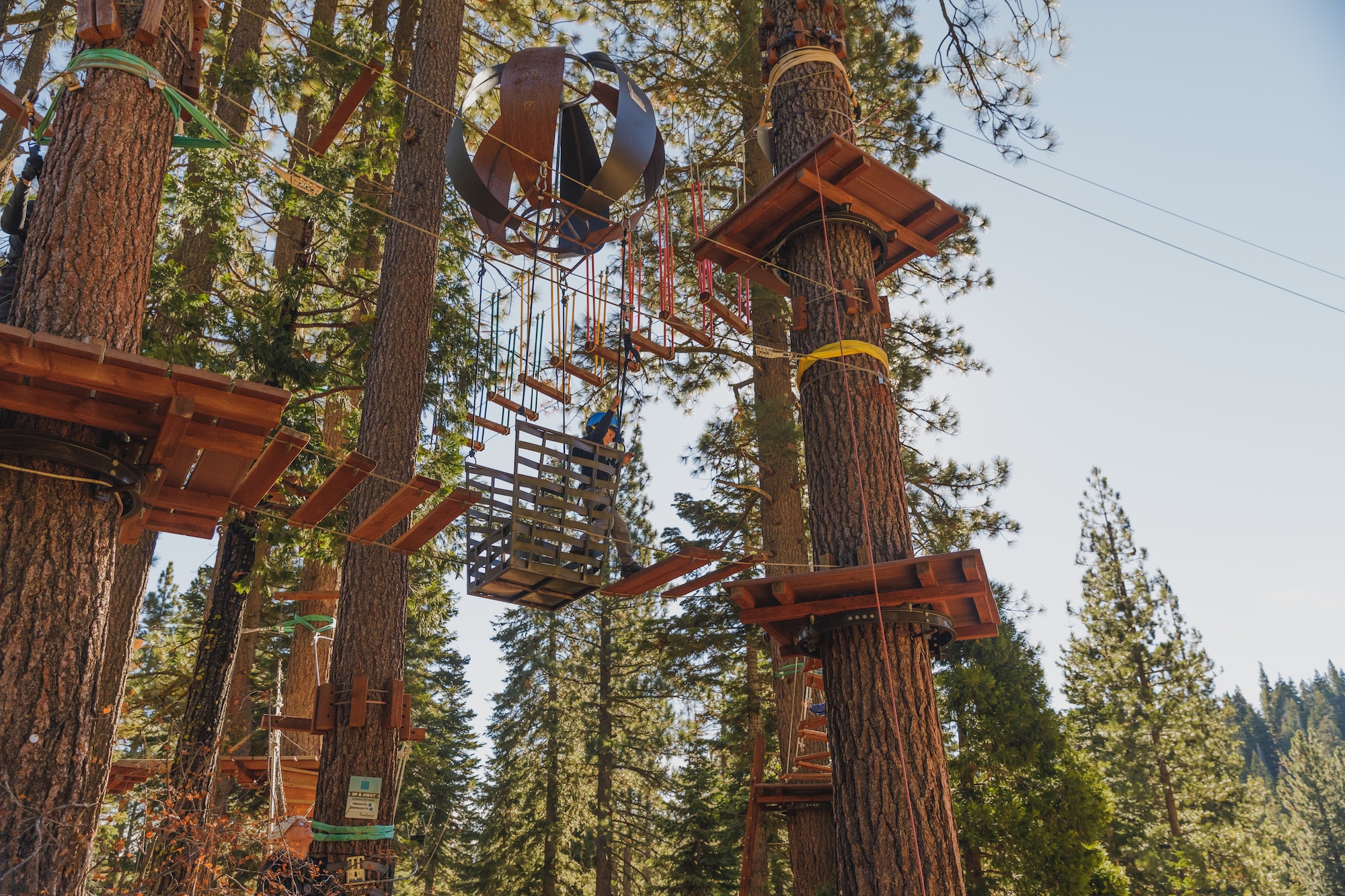 lake tahoe treetop adventure