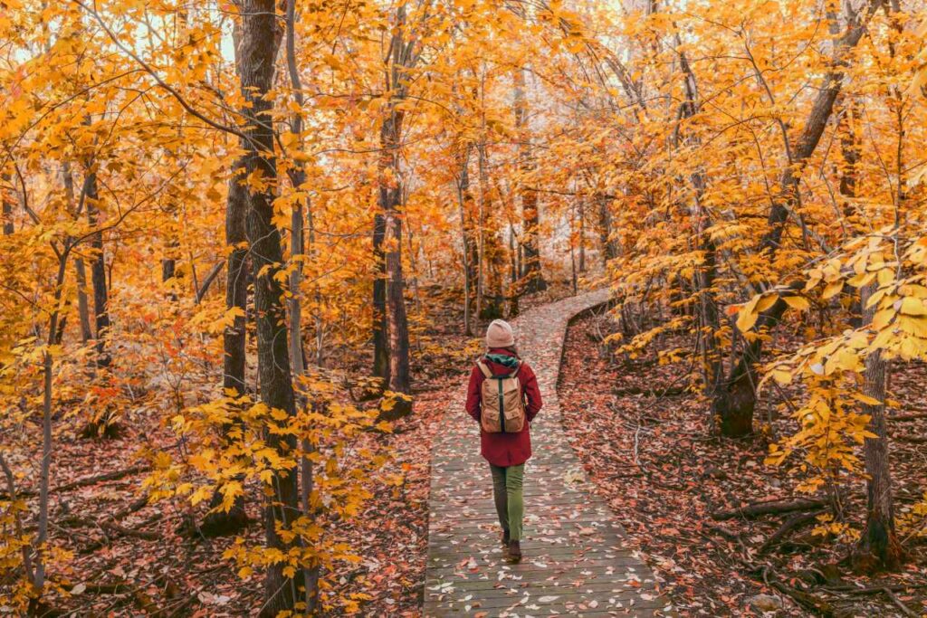 a view of a hiker during the fall
